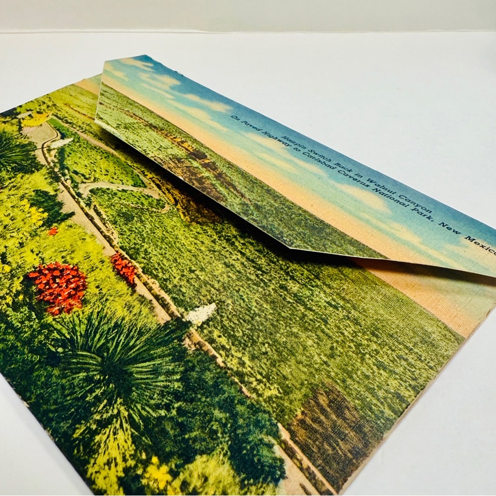 Genuine Vintage 1950 Curteich Carlsbad Caverns National Park Accordion Postcard - Picture 3 of 10